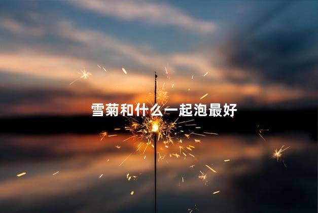 雪菊和什么一起泡最好