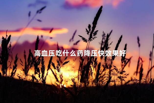 高血压吃什么药降压快效果好