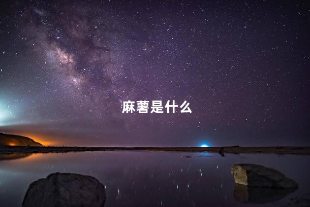 麻薯是什么