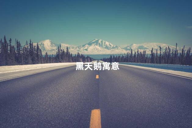 黑天鹅寓意